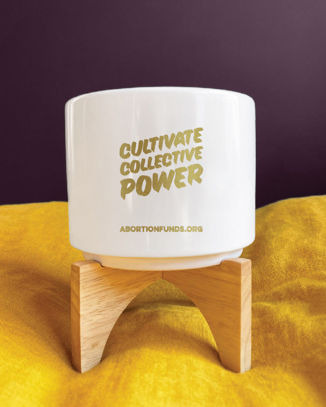Cultivate Collective Power planter kit